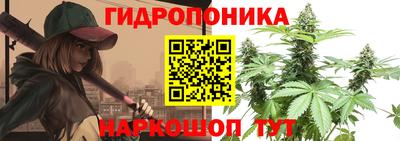 a pvp Краснокаменск